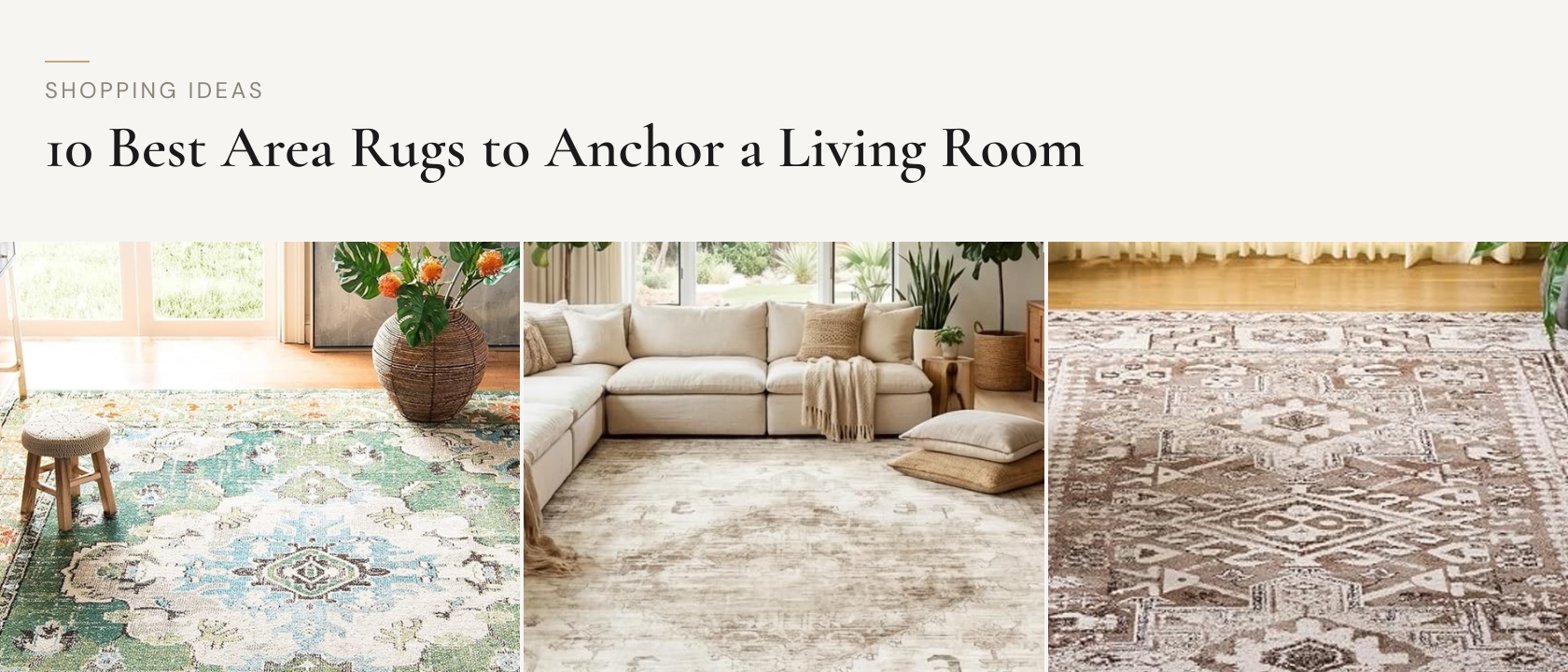 10 Best Area Rugs to Anchor a Living Room