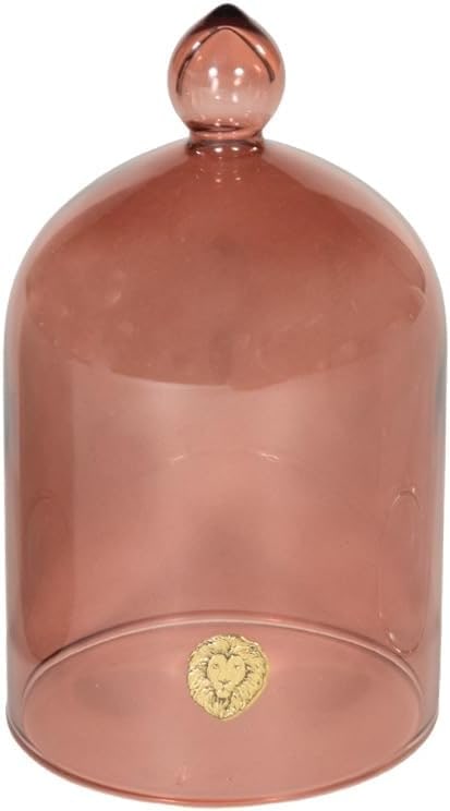 Glass Cloche Dome Display Case - Photo 3