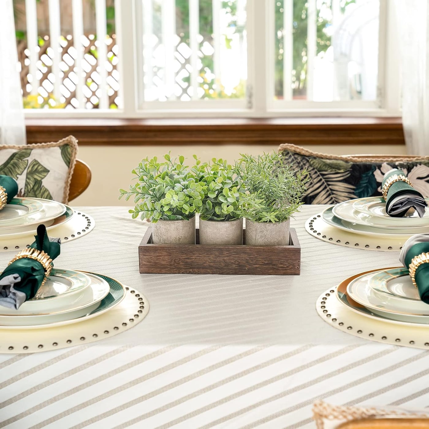 Mini Potted Eucalyptus Trio with Wood Tray - Photo 2