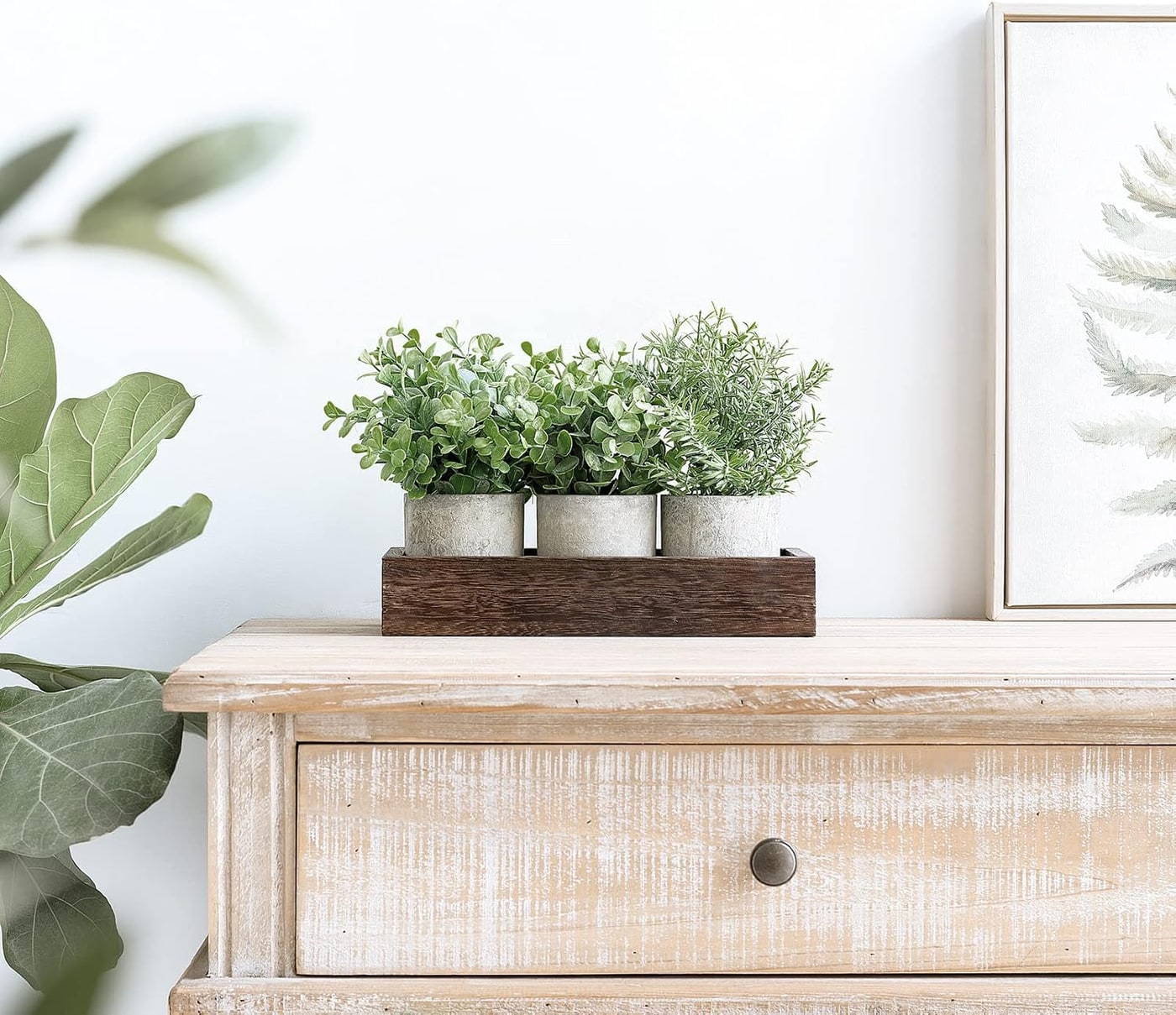 Mini Potted Eucalyptus Trio with Wood Tray - Photo 3