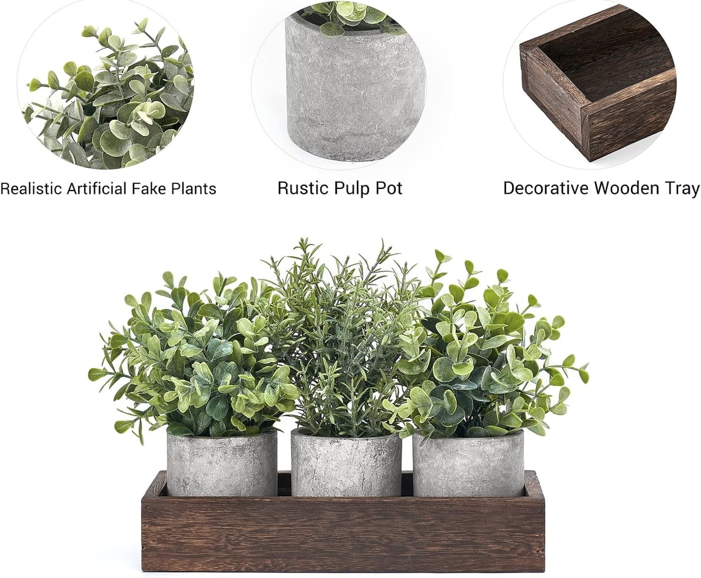 Mini Potted Eucalyptus Trio with Wood Tray - Photo 4