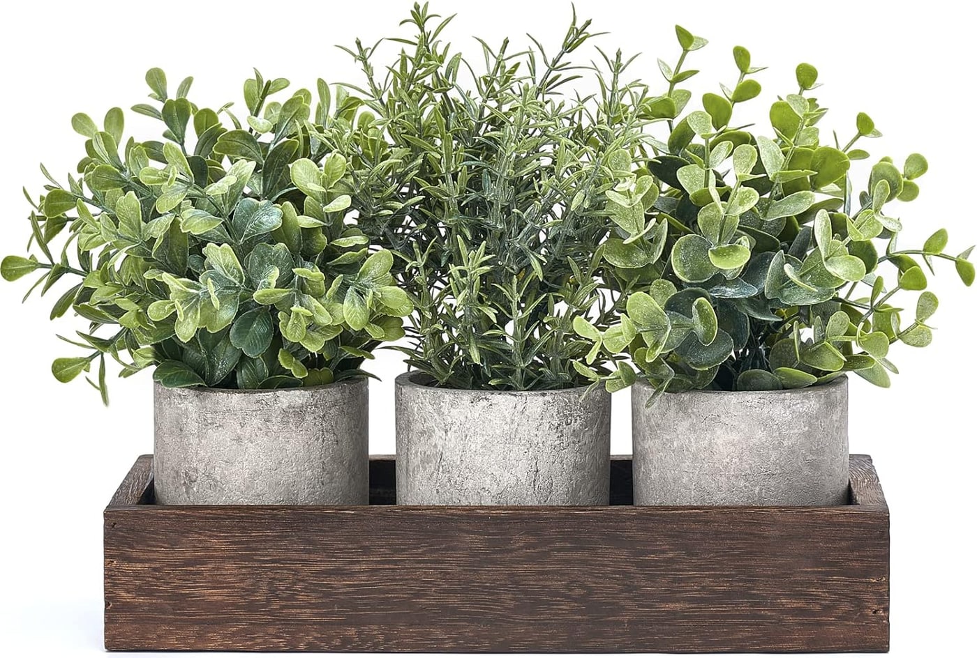 Mini Potted Eucalyptus Trio with Wood Tray