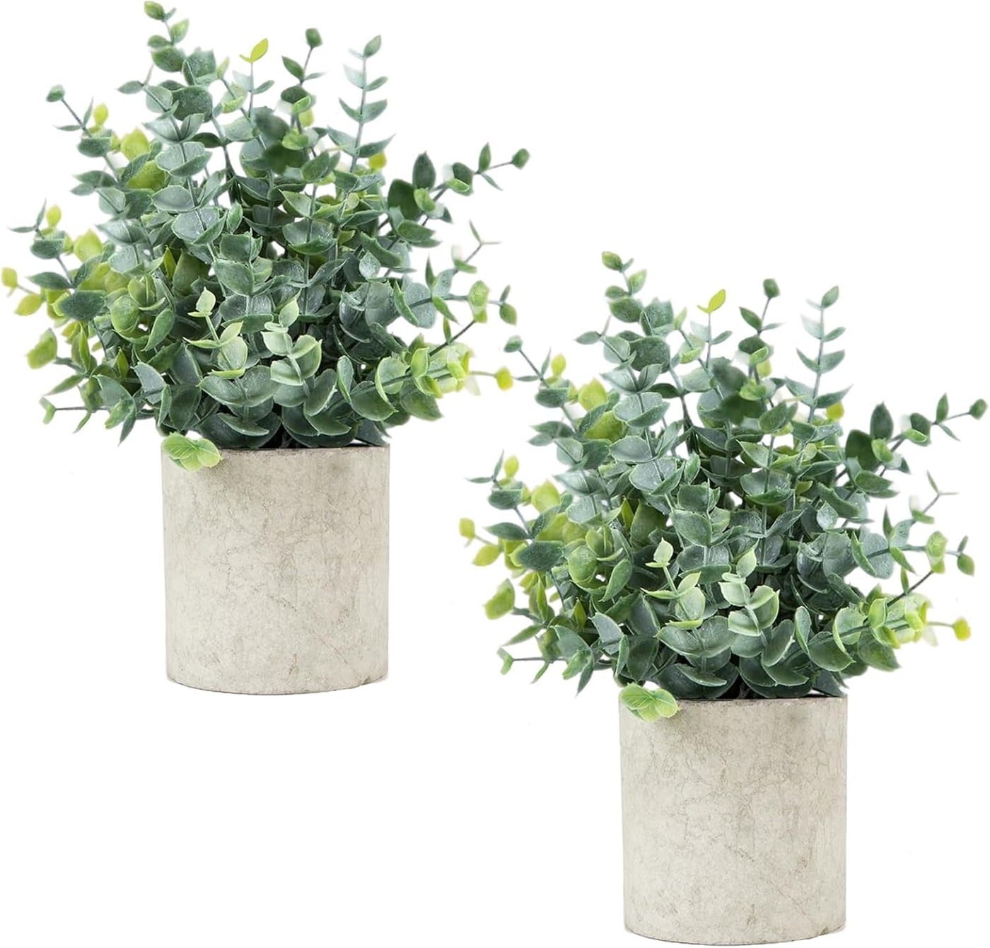 Small Potted Faux Eucalyptus Plant Pair