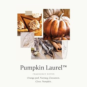 Pumpkin Laurel Scented Candle in Burnt Orange Glass - Photo 3