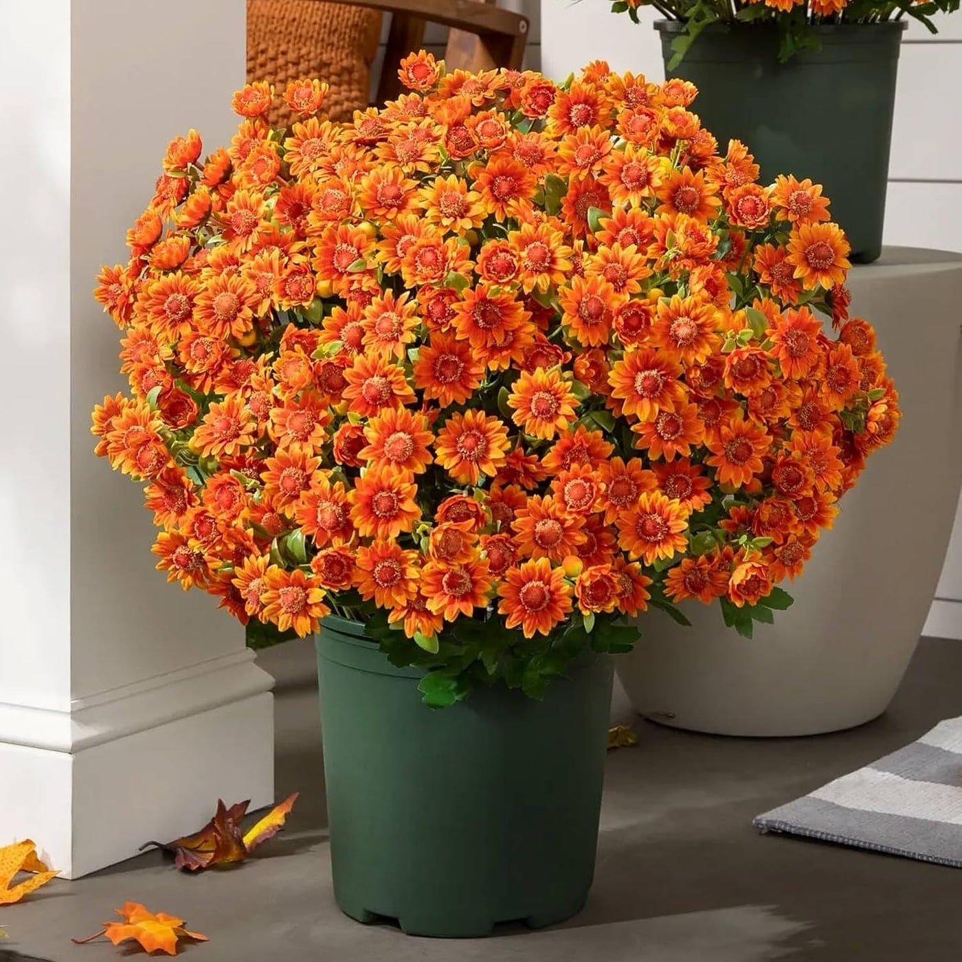 UV-Resistant Fall Mums with Eucalyptus Leaves - Photo 2